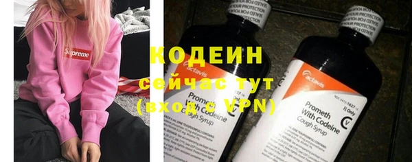 хмурый Алзамай