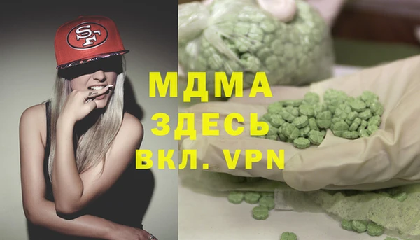 хмурый Алзамай