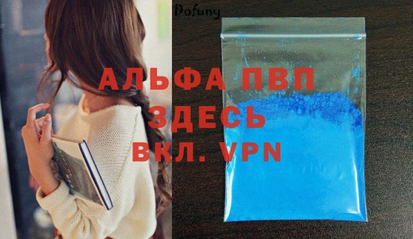 хмурый Алзамай