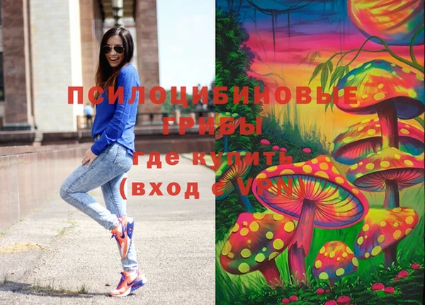 хмурый Алзамай