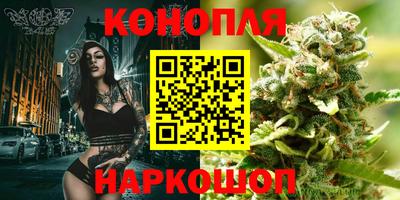 шишки Свободный
