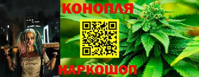 амф Севастополь