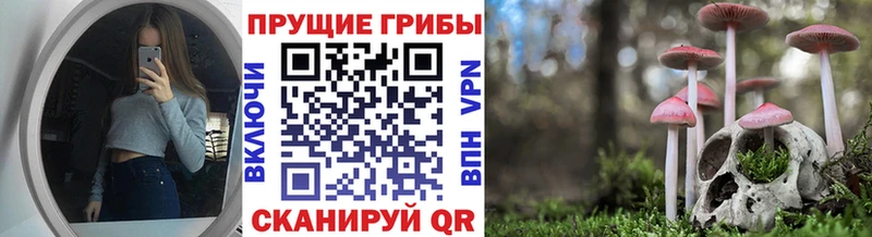 Галлюциногенные грибы Psilocybine cubensis  купить   Топки 