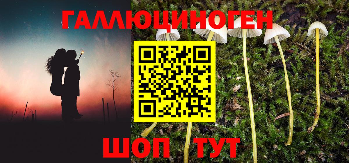 Топки  Псилоцибиновые грибы прущие грибы  Вход с VPN 