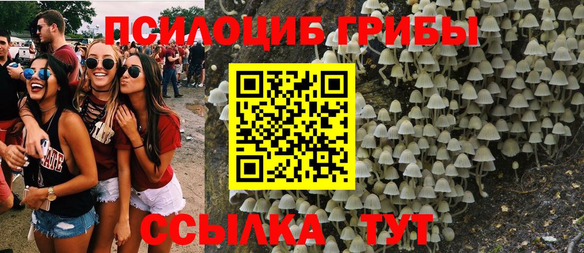 Псилоцибиновые грибы прущие грибы Топки